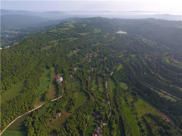 ɭ�ַ�����đ���