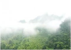 ���M(j��n)��ɽ�����I(y��)�y(c��)���T��15��̤��y(c��)�^(q��)�������y�P(gu��n)