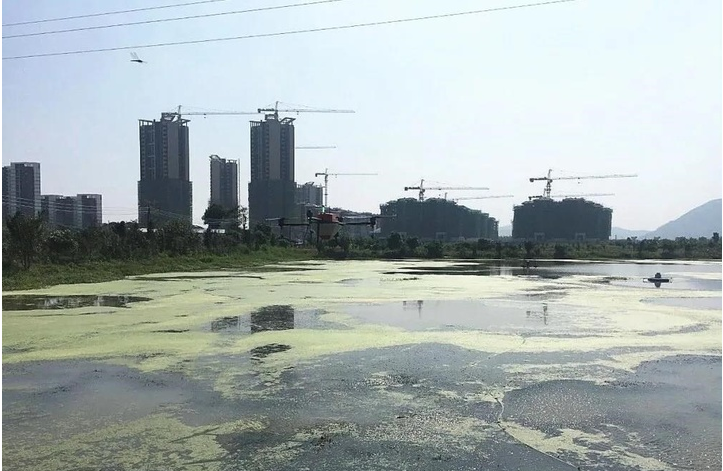 С���r�Bֳ��